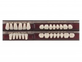 Spofadent Plus (D2) 1/40-0/7-1/62