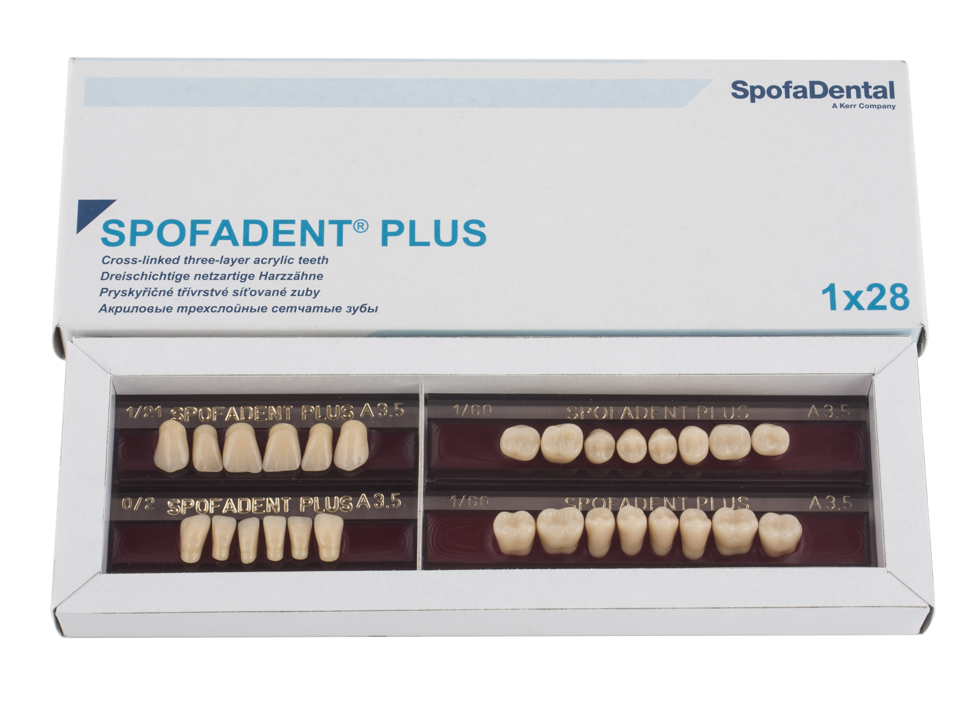 Spofadent Plus (А3,5) 1/21-0/2-1/60