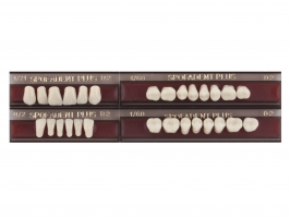 Spofadent Plus (D2) 1/21-0/2-1/60