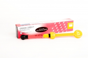 Gradia direct Anterior АО3